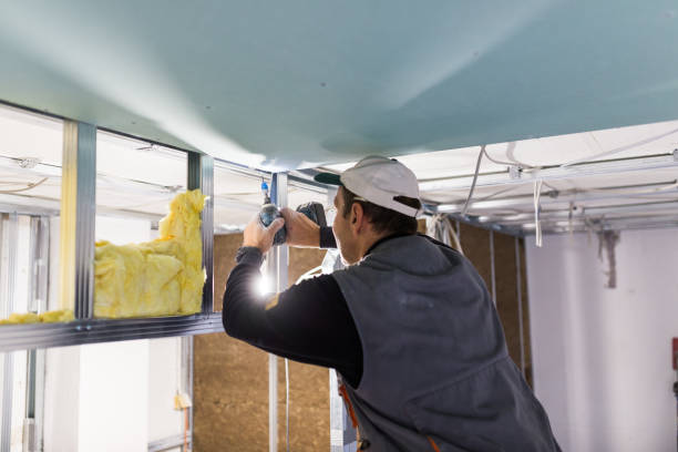 Best Spray Foam Insulation  in Seneca, MO