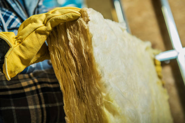 Best Wall Insulation Contractor  in Seneca, MO