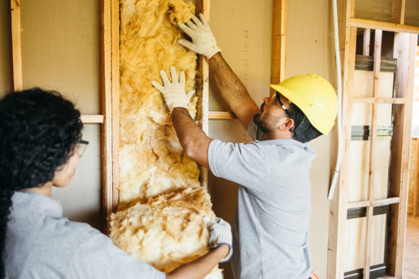 Best Local Insulation Services  in Seneca, MO
