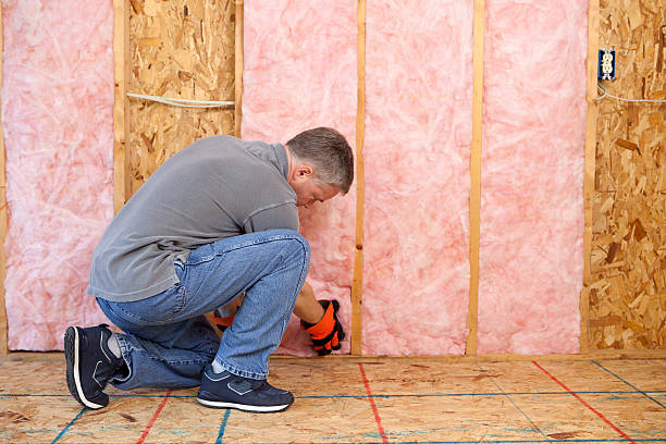 Best Spray Foam Insulation  in Seneca, MO
