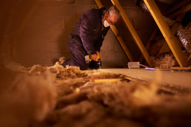 Best Insulation Removal  in Seneca, MO