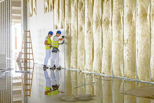 Best Attic Insulation Installation  in Seneca, MO
